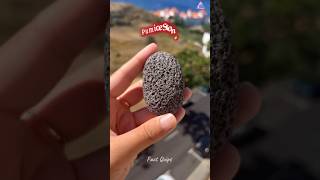 Pumice Stone [upl. by Phebe]