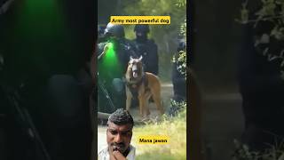 Army powerful dog  mana jawan shorts dog army [upl. by Nosnev]