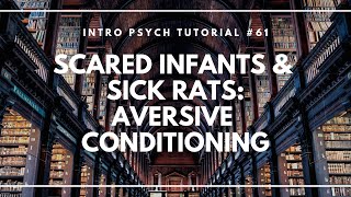 Scared Infants and Sick Rats Aversive Conditioning Intro Psych Tutorial 61 [upl. by Areivax]