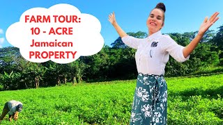 Ultimate 10ACRE Farm Tour Jamaican Rastafarian Farmer Shares Tips for Massive Harvests [upl. by Singleton]