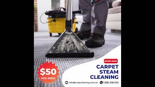 Carpet Steam Cleaning Only 50 Per Room  Area [upl. by Friedly]