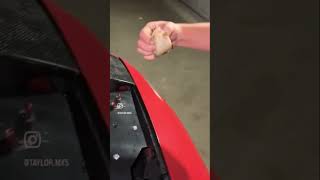 Teaching the frog about cars automobile carcommunity car cars carculture carguys [upl. by Alake]