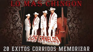 Los Canelos Los Canelos De Durango Lo Mas Chingon \ 20 Éxitos Corridos Memorizar [upl. by Maxma]