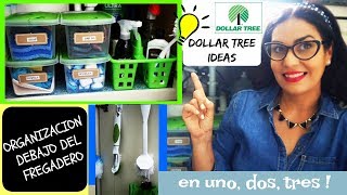 💡 COMO ORGANIZAR DEBAJO DEL FREGADERO ✅ [upl. by Ennobe404]