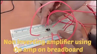 Non inverting amplifier using op amp 741 IC knowledgeandeducationbox [upl. by Amein]