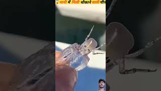 mother metac ki top 3 amazing fact video shorts amazingfacts factsinhindi allfacts dailyfacts [upl. by Deenya]