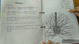 Botany practical file Bsc 1st year [upl. by Eitsud]