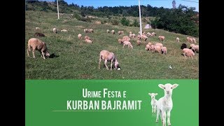 URIME FESTA E KURBAN BAJRAMIT 2023  Fshati Sllovi [upl. by Kory]