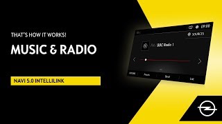 Navi 50 IntelliLink  Music and Radio  Thats How It Works [upl. by Alenson]