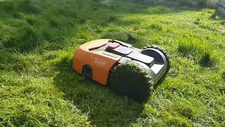 Worx Landroid WR130E S300 first cutlong grass progress update  6 days in video 23 [upl. by Tap]