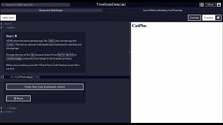 FreeCodeCamp  Responsive Web Design  Step 1 of 71  Learn HTML by Building a Cat Photo App [upl. by Rumery]