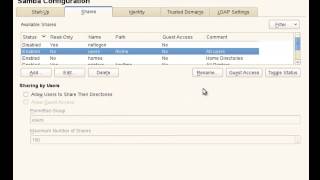 SAMBA Management with YaST on SUSE [upl. by Hacceber834]