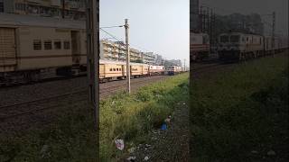 Virar to Dadar trainrailwayvideo ❤️🌷 [upl. by Ahsinnod949]