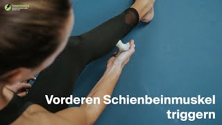 Triggerdinger  Vorderen Schienbeinmuskel triggern [upl. by Queri]