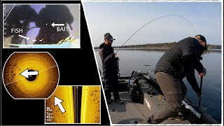 Catch MORE Fish Using Humminbird MEGA LIVE  360  SIDE IMAGING [upl. by Ailima]