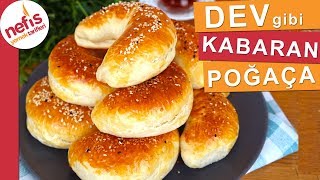 DEV GİBİ KABARAN Labneli Poğaça Tarifi  Yumuşacık Puf Puf Poğaça [upl. by Akieluz]