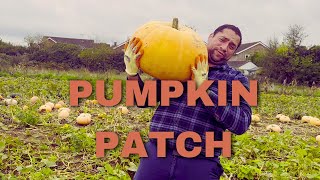 Pumpkin patch 2024 Halloween Stanhill Farm [upl. by Deste204]