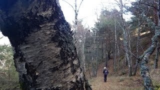 De Llavorsí a les Bordes de Arnui Pallars Sobirà [upl. by Eelime918]