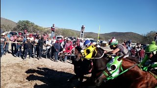 Encuentro con militantes y simpatizantes de Matehuala San Luis Potosí [upl. by Prudy]