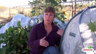 Early Frost Protection Techniques Portable Greenhouse Cold Frame Floating Row Cover [upl. by Arrait]