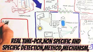 Real TimePCRNon Specific And Specific DetectionMethodMechanismAdvantagesDisadvantage [upl. by Asselim481]