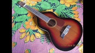 Woh Shaam Kuchh Ajeeb Thi  Khamoshi 1969  Hawaiian Guitar Instrumental  Arup Roy [upl. by Tsew509]