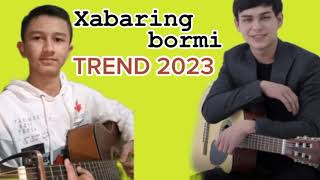 Elyorbek Melibayev  Xabaring bormi cover Suxrobdoston  Uzb Trend 2023 [upl. by Eirojam935]