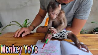 Monkey YoYo JR is cute when playing with pencils and a notebook  Monkey Baby YoYo [upl. by Tyson657]