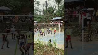 Royan 🔥 volleyball volitarkam volimania voliindonesia [upl. by Clark]