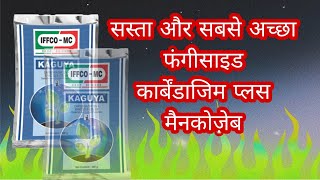 IFFCO कार्बेन्डाजिम 12  मैन्कोजेब 63 WP कगुया। Fungicide Carbendazib mancozib। [upl. by Areid]