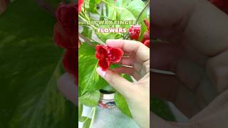 DIY wax finger flowers🌺 diyartidea diycrafts aesthetic asmr viralshorts waxflower trending [upl. by Ellette]