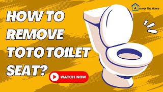 How To Remove TOTO Toilet Seat  Know Now [upl. by Aniuqal]