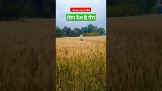 Dharti sunhari Ambar Neela Har Mausam Rangeela Aisa Desh Hai mera india song youtubeshorts video [upl. by Guyon]