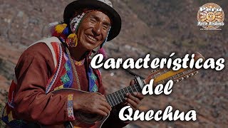 ✍ Características del Idioma Quechua  Aprendiendo Quechua [upl. by Llennoc]