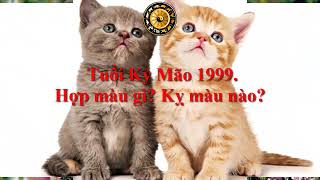 Tuổi Kỷ Mão 1999 Hợp màu gì Kỵ màu nào [upl. by Ibby394]