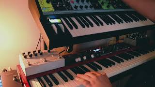 Moog Matriarch Polyphonic Sequence [upl. by Calia]