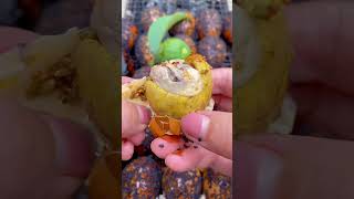 Original ♥️mini 🔥 Famous ♥️ streetfood 😋 🔥Delicious🔥Asian food 😋ytshort😍 foryoupage foodvlogge [upl. by Ainorev825]