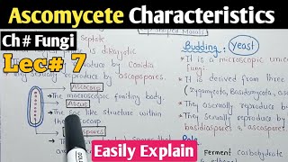 Ascomycota Characteristics And Its Life Cycle In Urdu Hindi  Ascomycetes [upl. by Aelaza197]