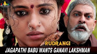 Jagapathi Babu Wants Ganavi Lakshman  Rudrangi  Vimala Raman  Latest Kannada Dubbed Movie Scenes [upl. by Schweiker]