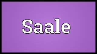 Saale Meaning [upl. by Winthrop]