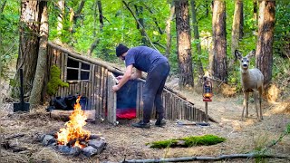 Building small Hut  Shelter in the woods  Bushcraft Survival [upl. by Allerim]