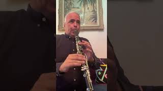 Variation sur le Divertimento de Mozart Clarinet B♭ Selmer lygeros music clarinet learn [upl. by Peltier]