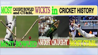 Most Bowled WicketsCaught Wickets and CTampBl Wickets in Cricket HistoryBLACKBOARD SPORTS 2024 [upl. by Constanta]