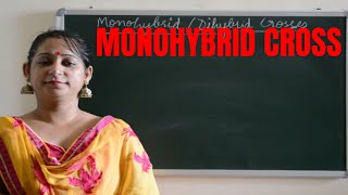 MONOHYBRID CROSSHow to make a Monohybrid cross an easy explanatiopn [upl. by Learrsi]