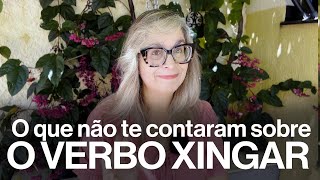 O que não te contaram sobre o verbo xingar [upl. by Hanoy]