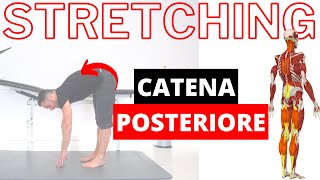 Ginnastica posturale esercizi di STRETCHING della MUSCOLATURA POSTERIORE [upl. by Zhang]