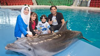 Best Dolphin Experience in Dubai 🐬  UAEs No1 Dolphin amp Seal Show [upl. by Noiroc]