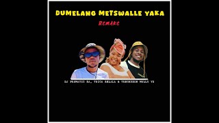 DJ Promatic SA Trica Selala amp Trechyson Molly vx  Dumelang Metswalle Yaka RemakeAmapiano [upl. by Aisetra538]