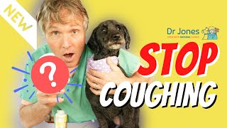 Coughing Dog Try this NEW Remedy [upl. by Itsirc]