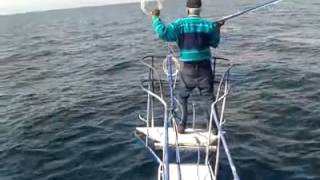 pesca de albacora taltal 2013 parte1 [upl. by Cohen842]